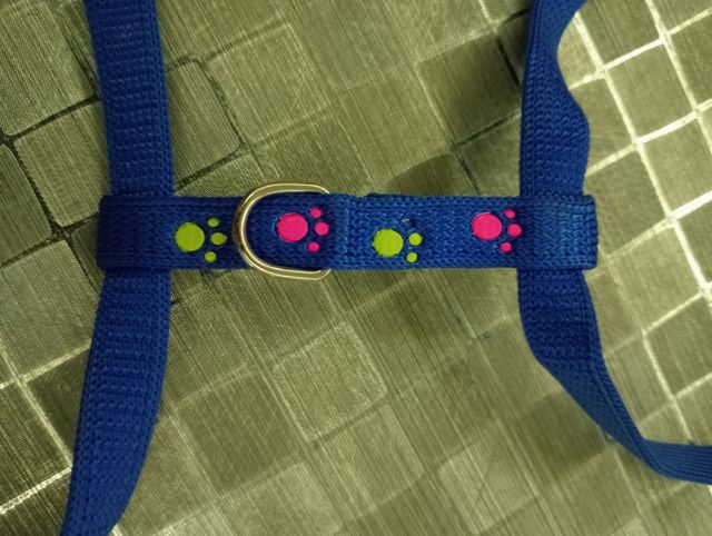 Arnés perrito pequeño o gato