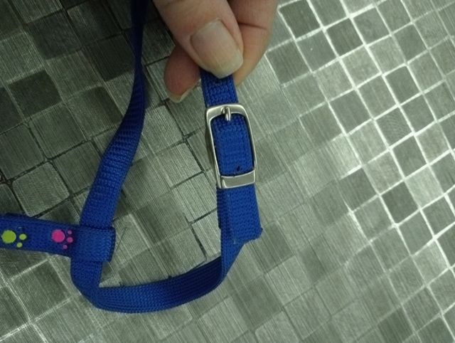 Arnés perrito pequeño o gato