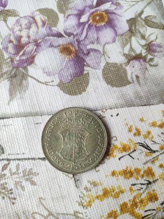 moneda 1955