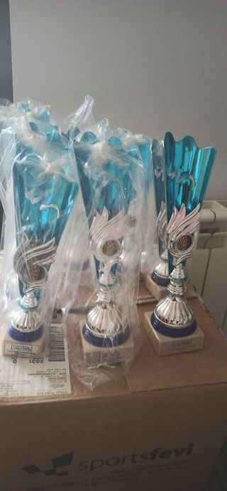 Nuevos Trofeos dardos