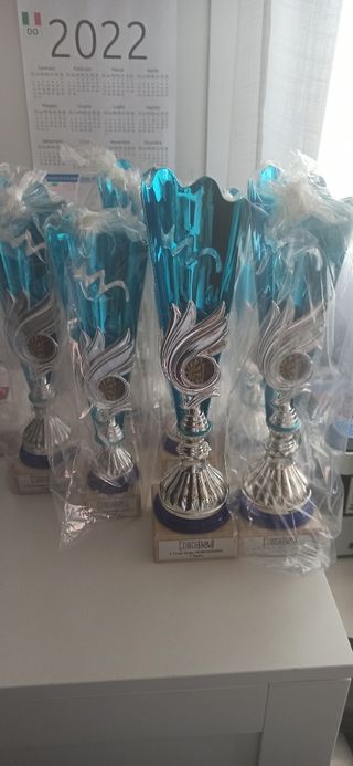 Nuevos Trofeos dardos
