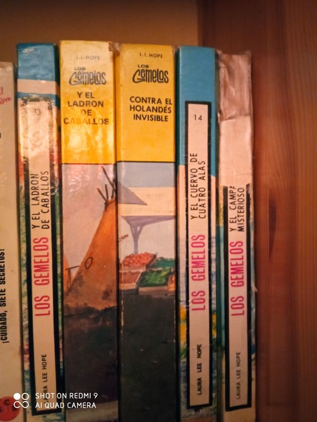 lote libros "los gemelos"