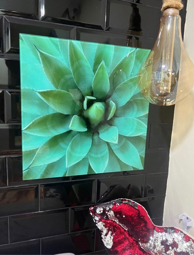 2 Cuadros cristal templado flamencos y cactus