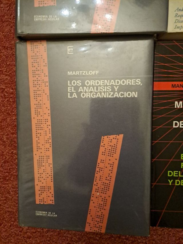 libros informática gestión