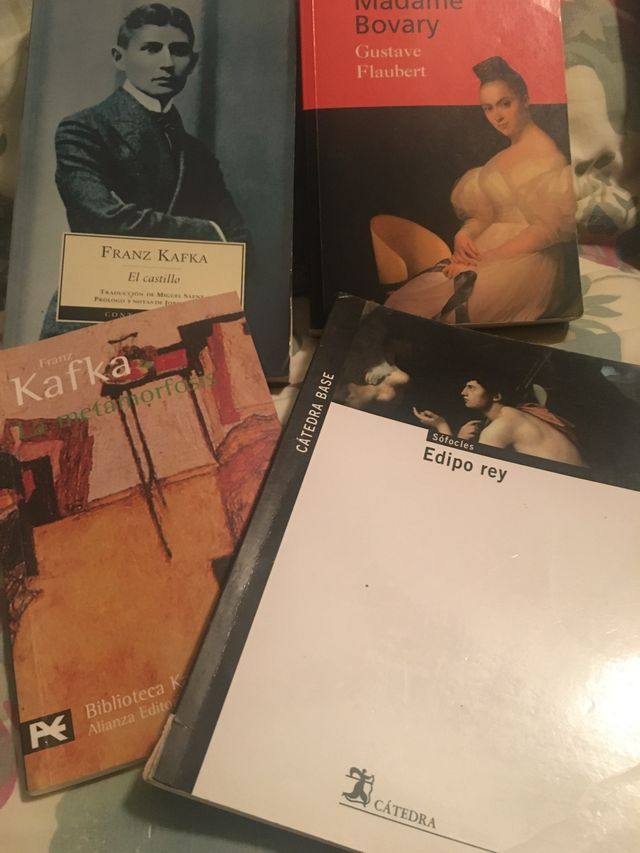Franz Kafka , El castillo.Madame Bovary.Edipo Reyt