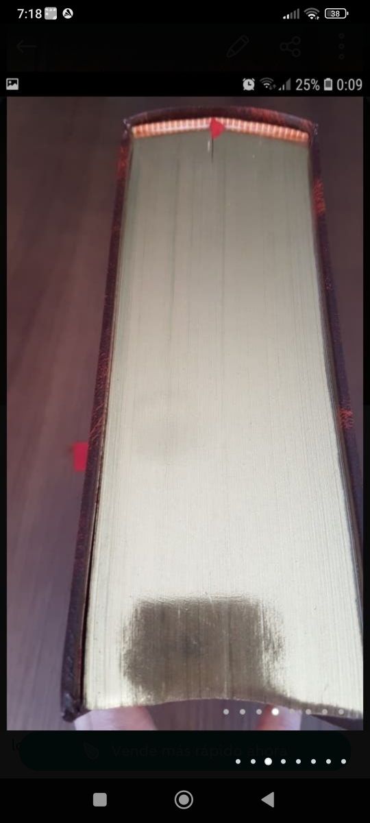 Biblia en edición de lujo