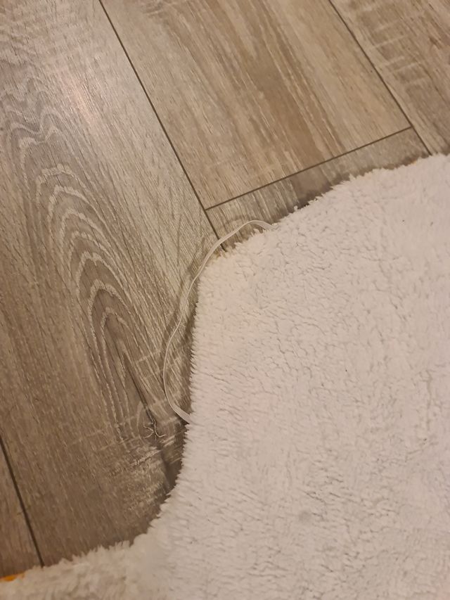 Chubasquero con borreguito para perro/gato