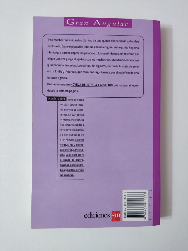 Libro Los escarabajos vuelan al atardecer