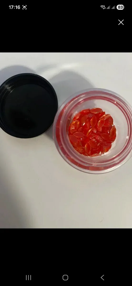 Adornos 3D para las uñas o manualidades