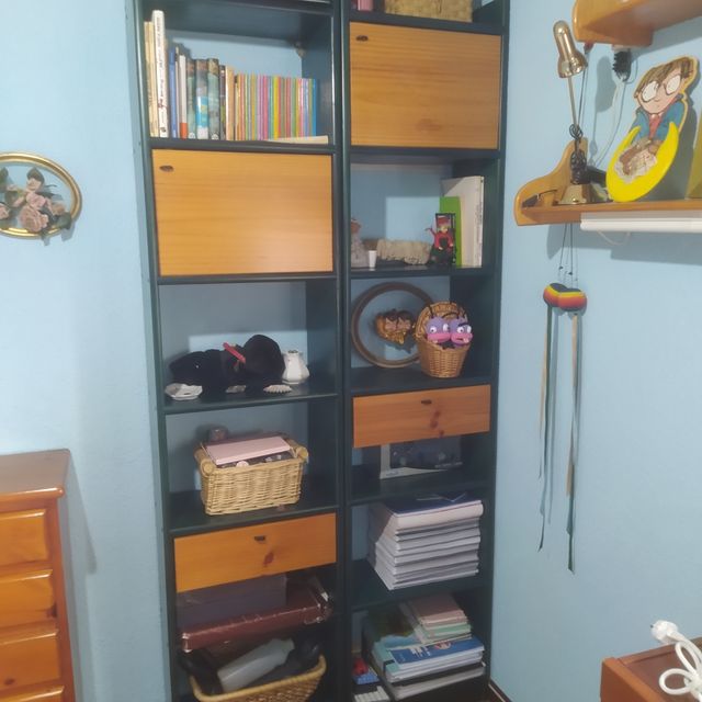 2Estanterias madera maciza Astigarraga color verde