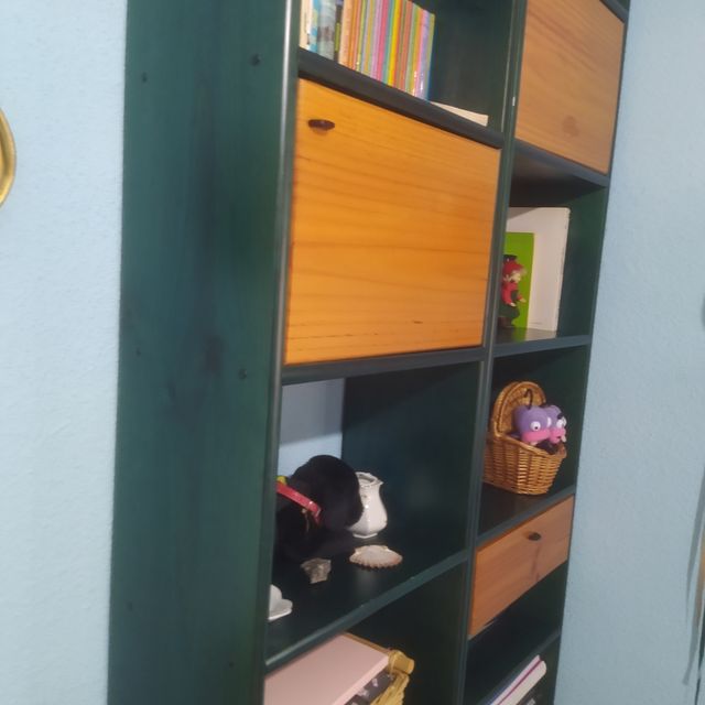 2Estanterias madera maciza Astigarraga color verde