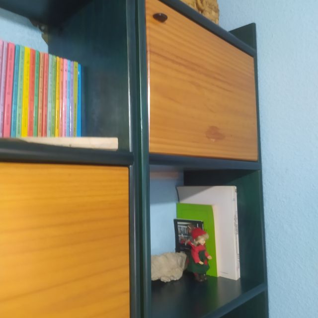 2Estanterias madera maciza Astigarraga color verde