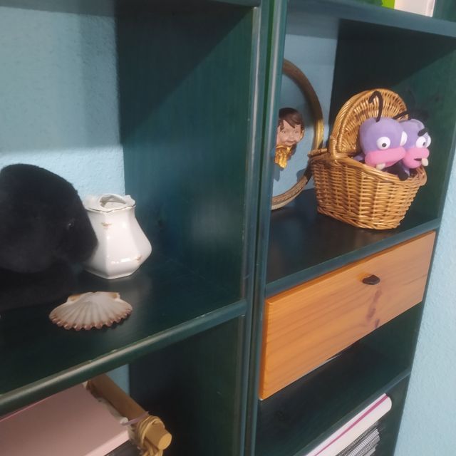 2Estanterias madera maciza Astigarraga color verde