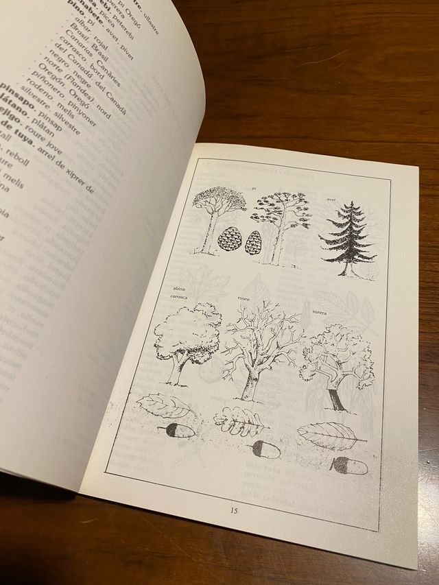 "Vocabulari de Fusteria, Mobiliari i Decoració"