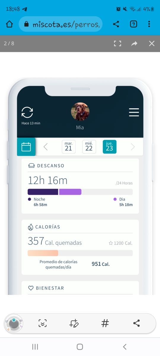 Animo dispositivo de actividad para perros