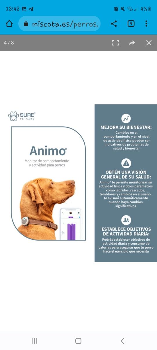Animo dispositivo de actividad para perros