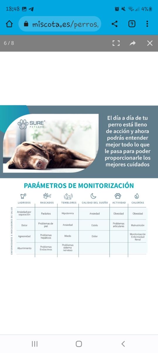 Animo dispositivo de actividad para perros