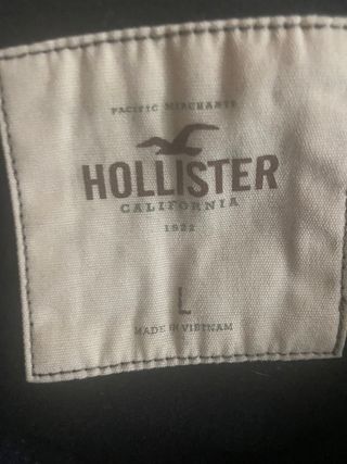 Sudadera Hollister