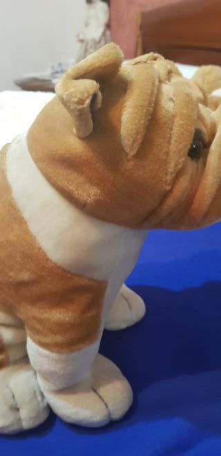 Cane di peluche molto bello