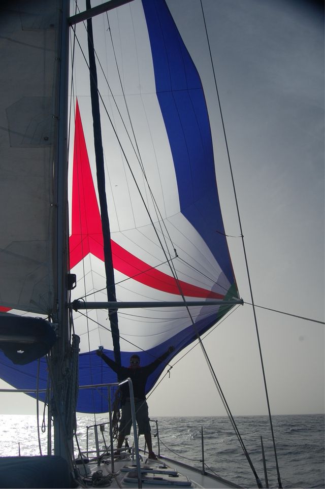 Spi, Spinaker, Spinnaker Velero, nuevo