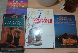 ✨Lote de libros✨
