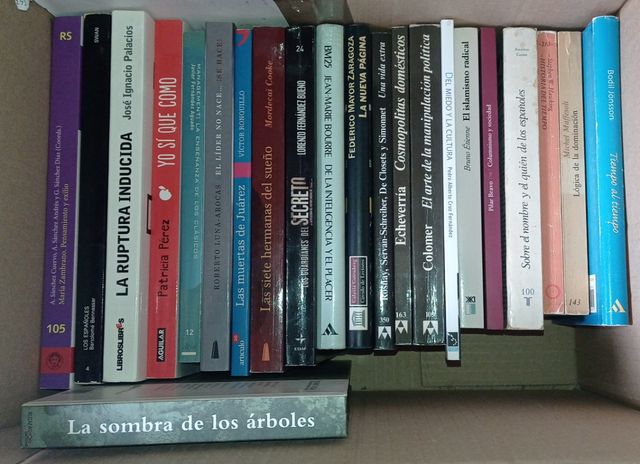 5x20 Ensayo: política, cultura, economía...