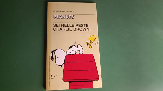Peanuts: Sei nelle peste, Charlie Brown! 2001