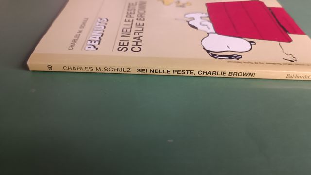 Peanuts: Sei nelle peste, Charlie Brown! 2001