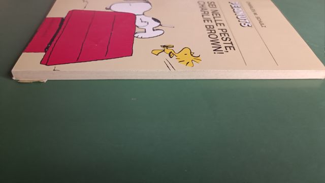 Peanuts: Sei nelle peste, Charlie Brown! 2001