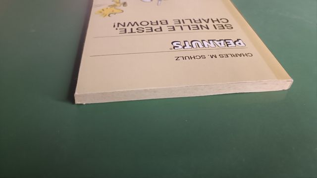 Peanuts: Sei nelle peste, Charlie Brown! 2001