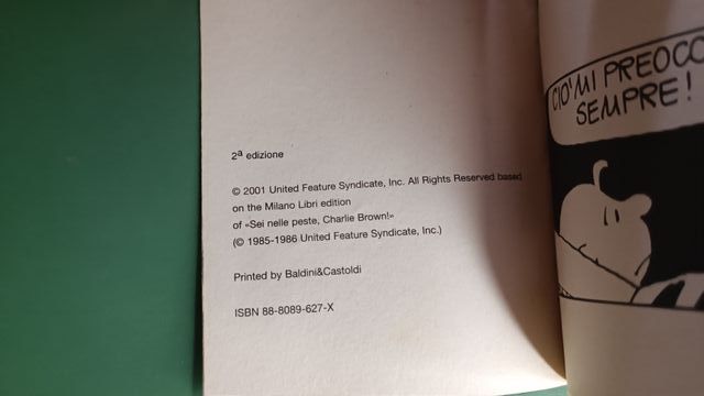 Peanuts: Sei nelle peste, Charlie Brown! 2001