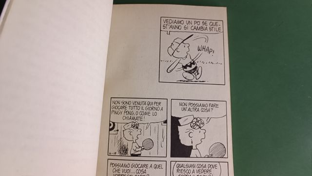 Peanuts: Sei nelle peste, Charlie Brown! 2001