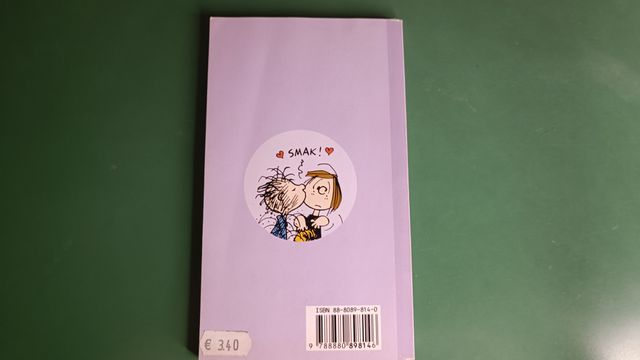 Peanuts: Sento dei passi, Charlie Brown! 2001