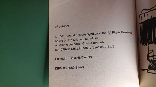 Peanuts: Sento dei passi, Charlie Brown! 2001