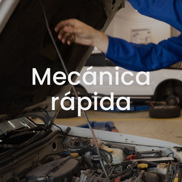 MECANICA RAPIDA 24H/48H