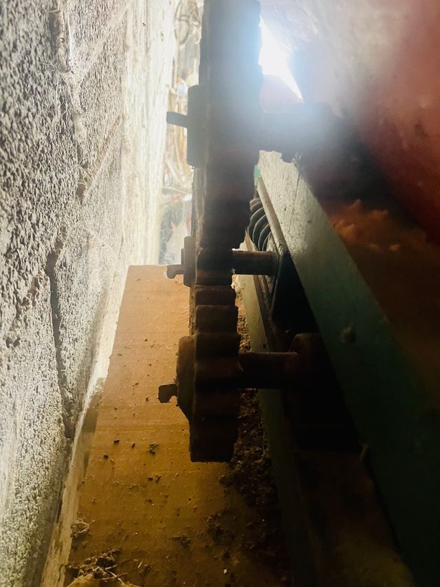 Estrujadora despalilladora uva