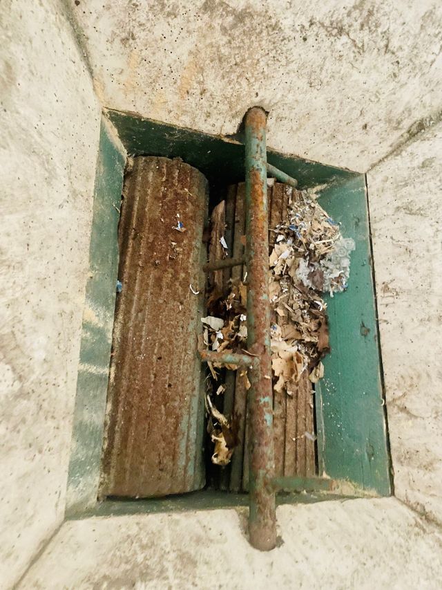 Estrujadora despalilladora uva