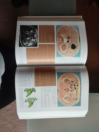 Libro medicina Anatomía: Estructura y Morfología