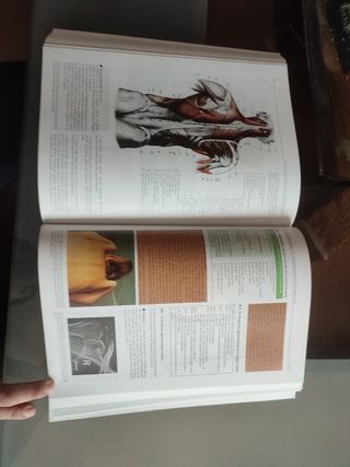 Libro medicina Anatomía: Estructura y Morfología