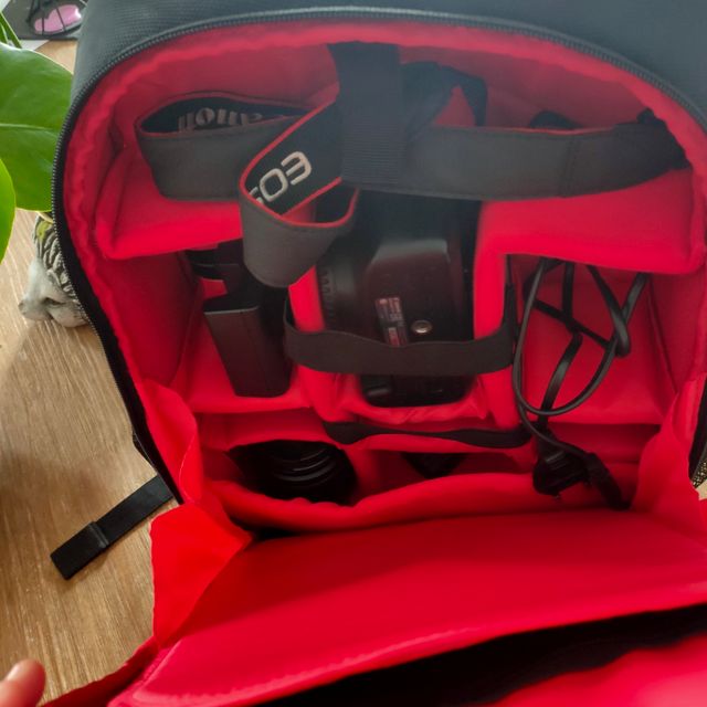 ‼️‼️‼️Regalazo‼️‼️‼️