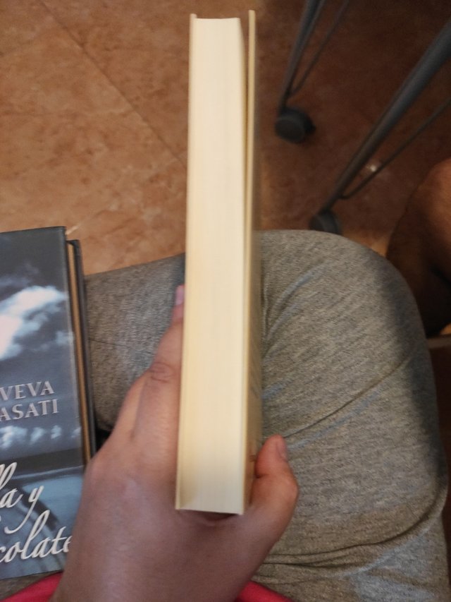 Vainilla y chocolate, de Sveva Casati