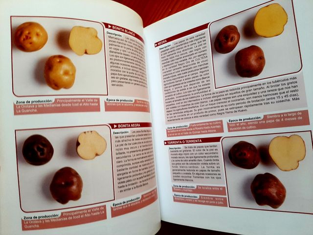 Cocinando con papas antiguas de Tenerife