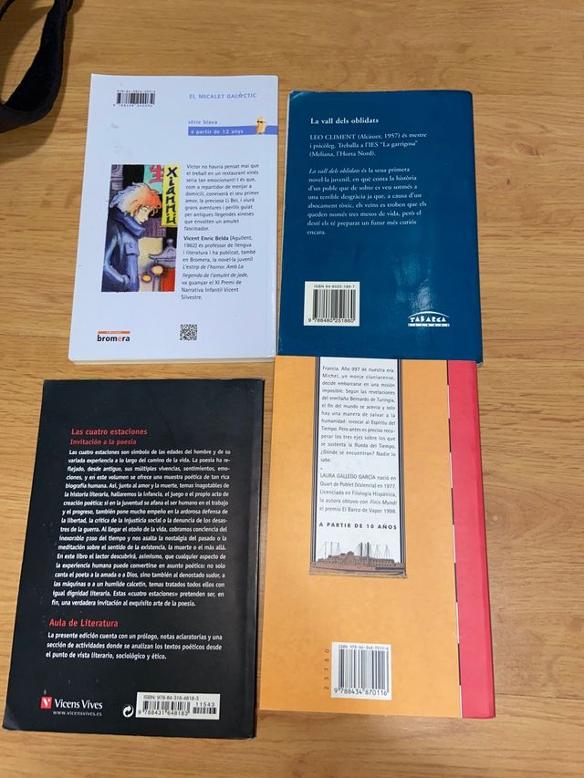 Lote de libros inglés, castellano y valenciano