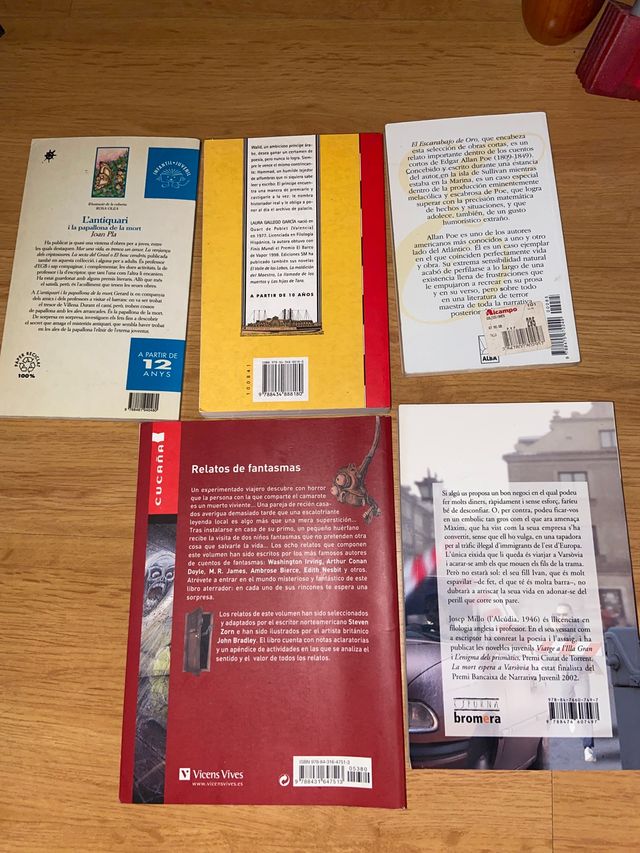 Lote de libros inglés, castellano y valenciano