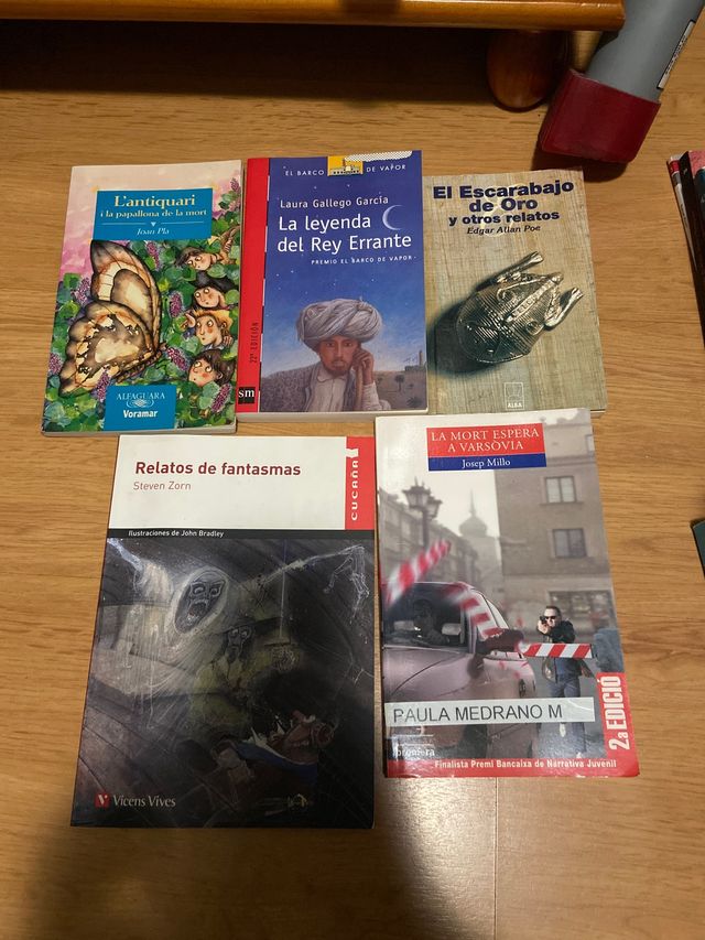 Lote de libros inglés, castellano y valenciano