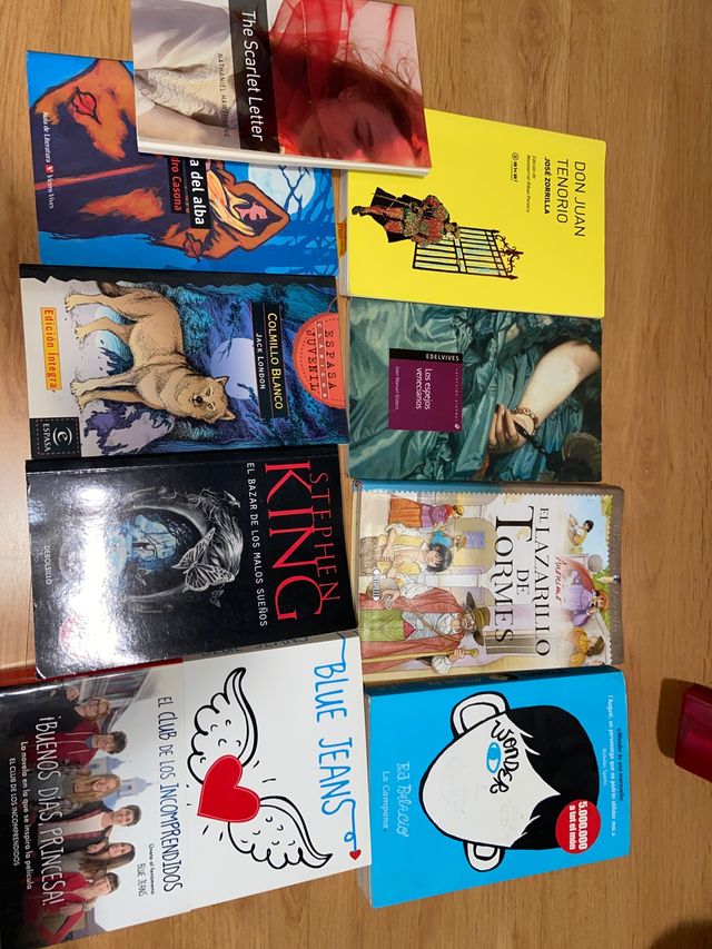 Lote de libros inglés, castellano y valenciano