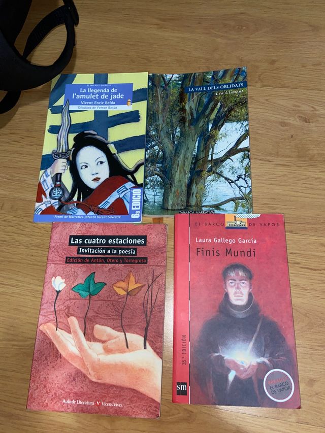 Lote de libros inglés, castellano y valenciano