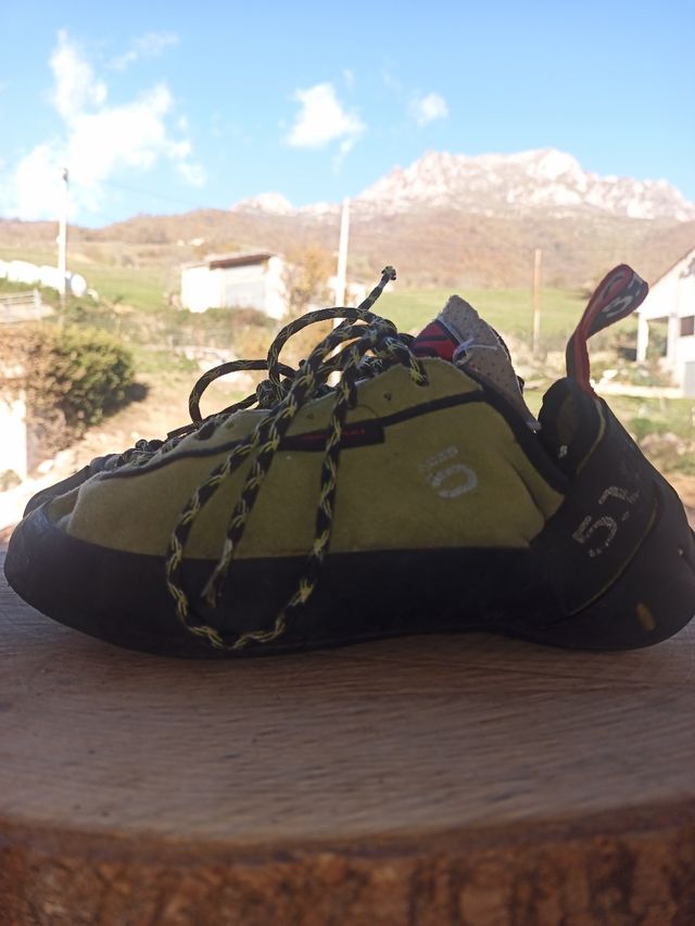 Gatos Fiveten verdes 39'5