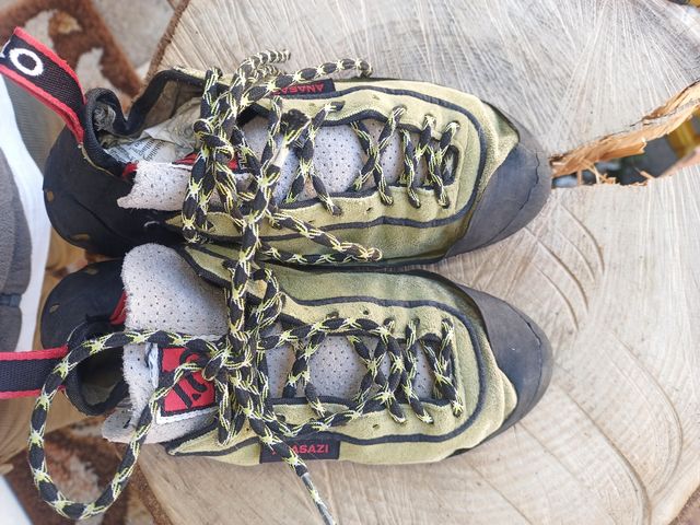 Gatos Fiveten verdes 39'5