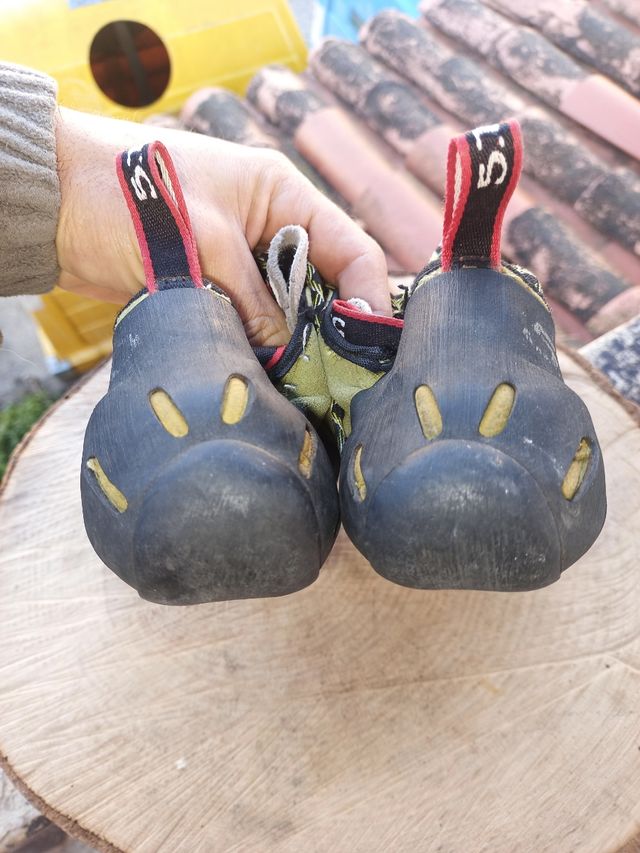 Gatos Fiveten verdes 39'5